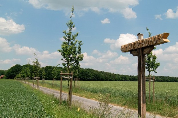 Zufahrt zum Waldfriedhof mit Bepflanzung (Foto: R.Lippold)