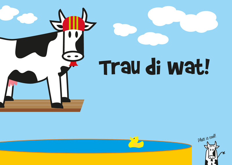 Boekster Platt