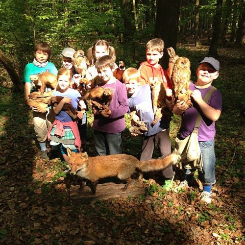 Wildtiere entdecken (Foto: G. Redecker)